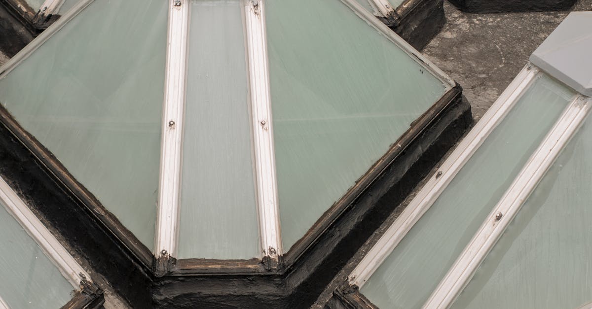 How much should a new skylight cost?